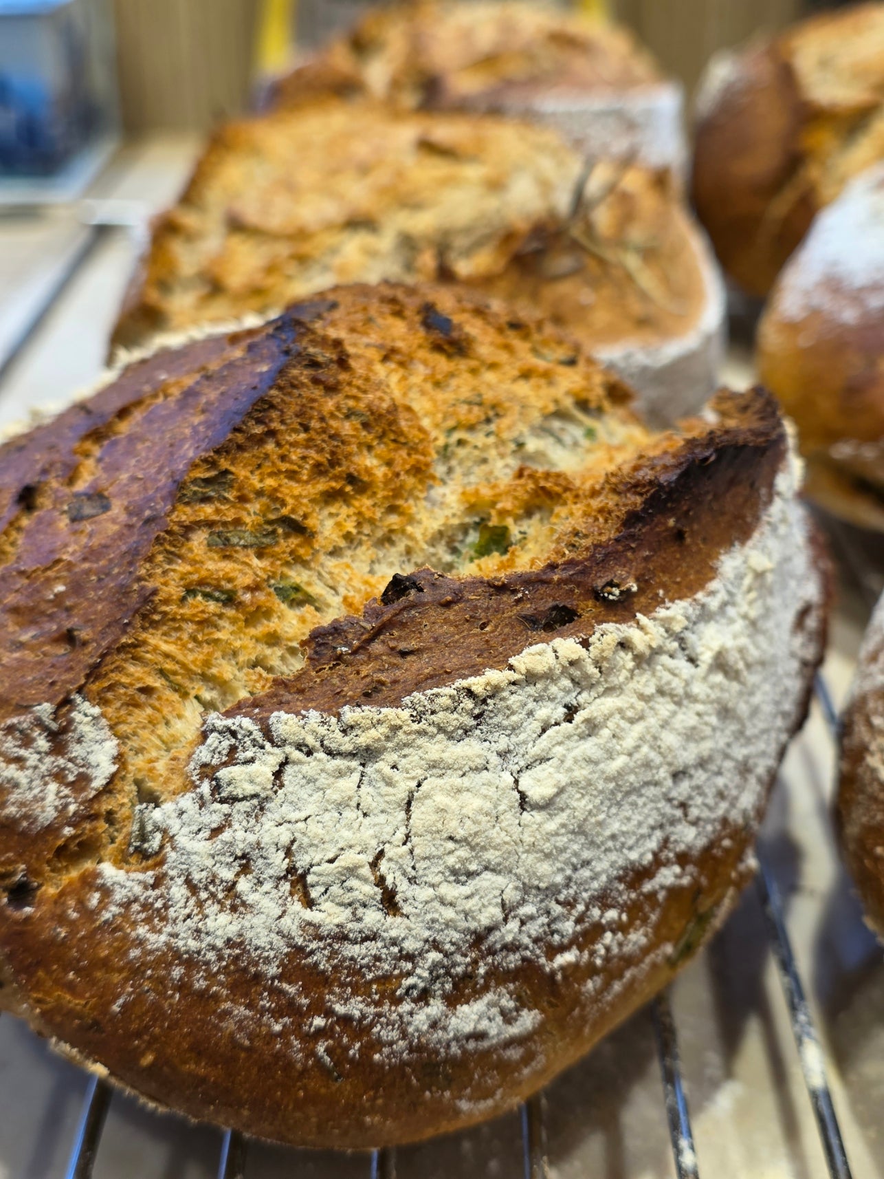 Mayasız Tam Buğday Ekmek - Çıtır Soğan - Reyhan Tomurcuğu